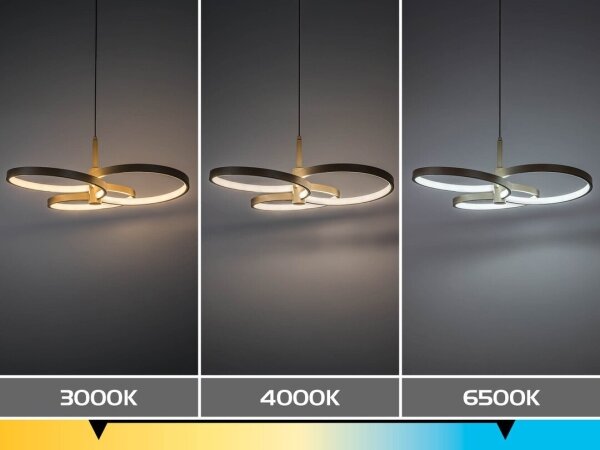 Rabalux 72400 - LED Stmievateľný závesný luster na lankách ISIDORA 50W/230V 3000-6500K+DO