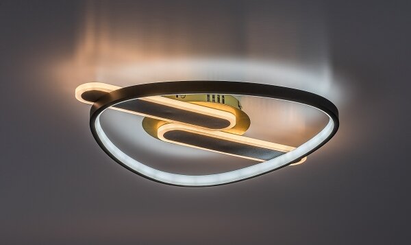 Rabalux 71467 - LED stmievateľné stropné svietidlo BRANTIEL LED/60W/230V 3000-6000K 53x45 cm + diaľkové ovládanie