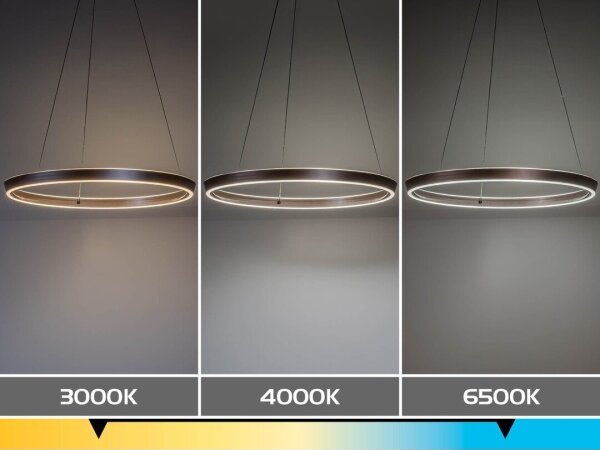 Rabalux 72402 - LED stmievateľný luster na lane NEVIRA LED/70W/230V 3000-6500K+DO