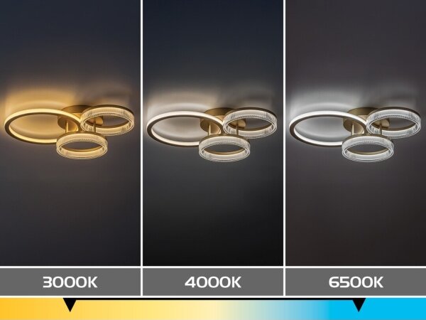 Rabalux 71473 - LED stmievateľné stropné svietidlo RIVONA LED/38W/230V 3000-6500K 58,5x38 cm + diaľkové ovládanie