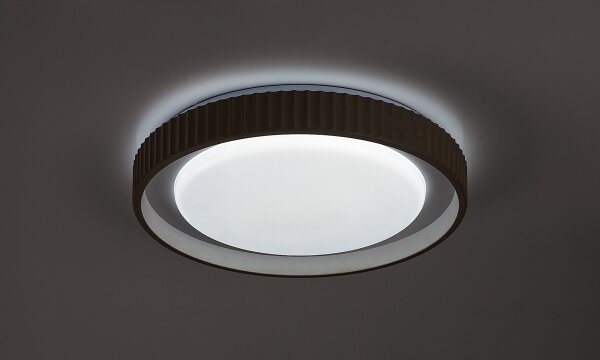 Rabalux 71345 - LED stmievateľné stropné svietidlo PASTELLO LED/48W/230V 3000-6500K priemer 49,5 cm + diaľkový ovládač