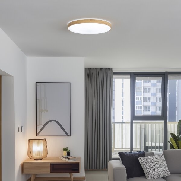 Brilagi - LED stmievateľné stropné svietidlo PINE LED/60W/230V + diaľkové ovládanie