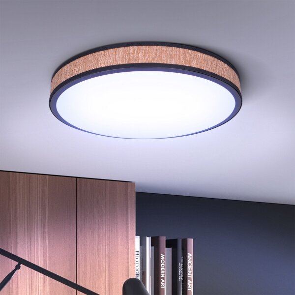 Brilagi - LED Stmievateľné stropné svietidlo ROSA LED/48W/230V 3000-6500K + DO