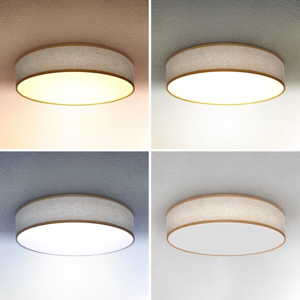 Brilagi - LED Stmievateľné stropné svietidlo CARMEN LED/48W/230V 3000-6500K + DO