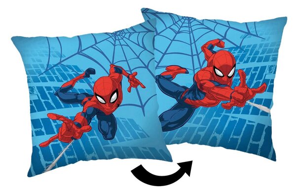DEKORAČNÝ VANKÚŠ 40/40 cm - Textil do domácnosti