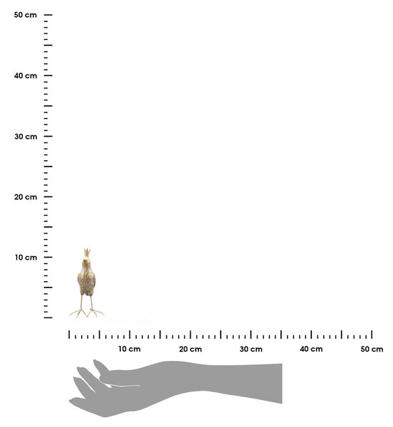 Záhradná figúrka z polyresinu Jude, sada 2ks, 11,5 cm, zlatá