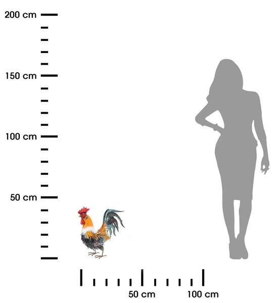 Záhradná kovová figúrka Rooster 1, 40,5 cm, viacfarebná