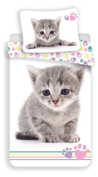 JERRY FABRICS Obliečky Kitten Colour Bavlna, 140/200, 70/90 cm