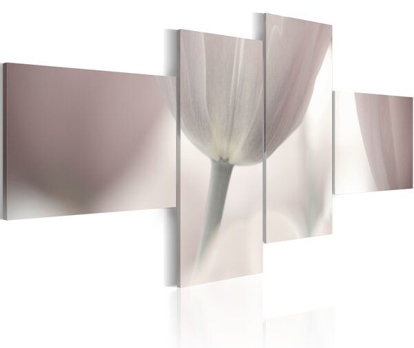 Obraz tulipán - Pastel colored tulip