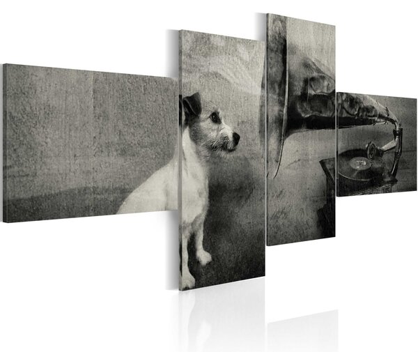 Obraz gramofón a pes - A gramophone and a dog