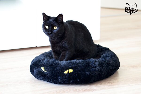 Čierny pelech Cat in black 50 × 40 × 9 cm, Tommi, Výber Kupujem pre útulkáčov