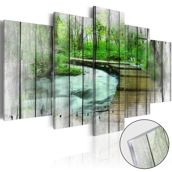 Obraz les tajomstiev na akrylátovom skle - Forest of Secrets