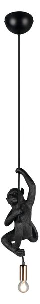 Trio R36551002 závesné stropné svietidlo FIPS | 10W E14