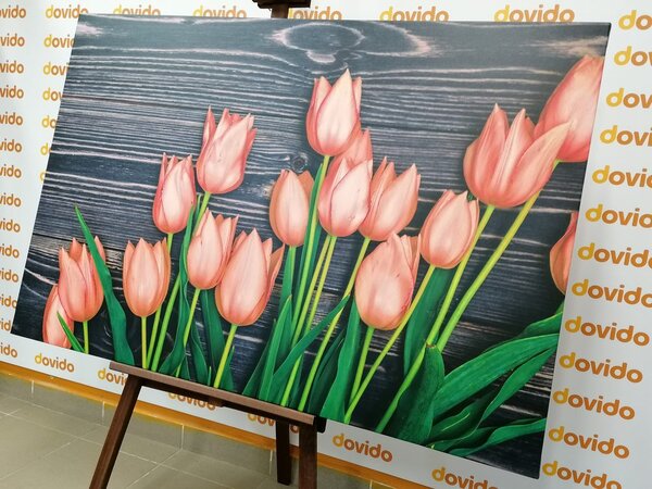 Obraz očarujúce oranžové tulipány na drevenom podklade