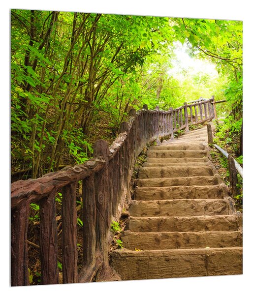 Letný obraz schodov v prírode (30x30 cm)