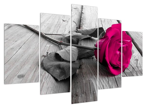 Obraz ružovej ruže (150x105 cm)