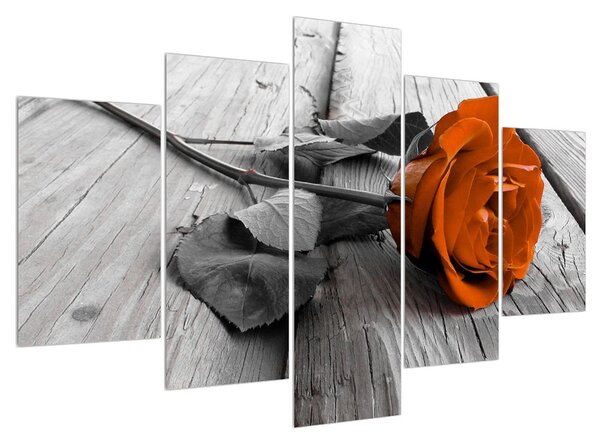 Obraz oranžovej ruže (150x105 cm)