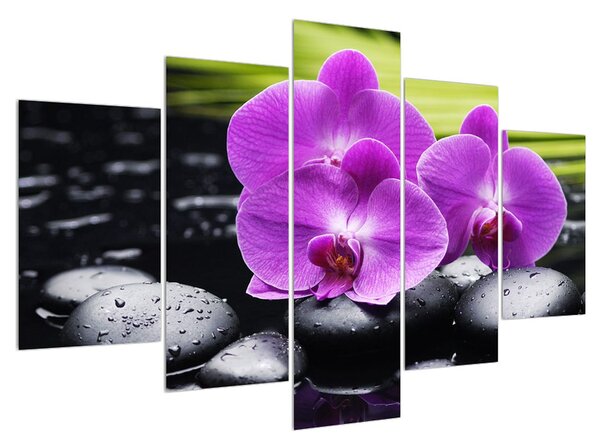 Obraz orchideí (150x105 cm)
