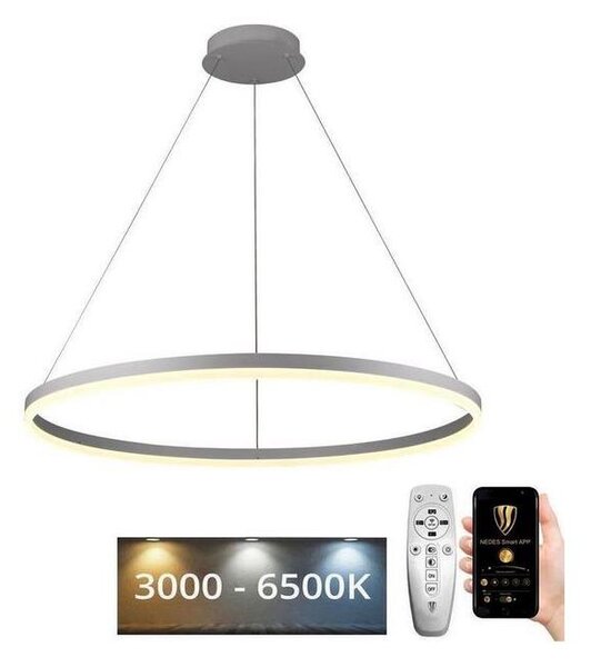 Brilagi - LED Stmievateľný luster na lankách CIRCLE LED/55W/230V 3000-6500K + DO