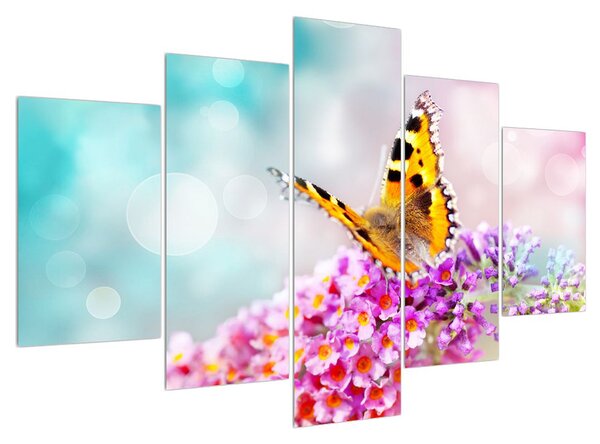 Obraz motýľa na kvetoch (150x105 cm)