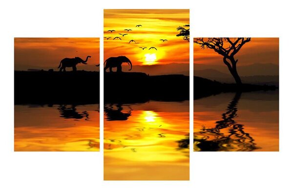 Obraz africkej krajiny so slonom (90x60 cm)