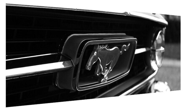 Detailný obraz automobilu značky Mustang (120x50 cm)