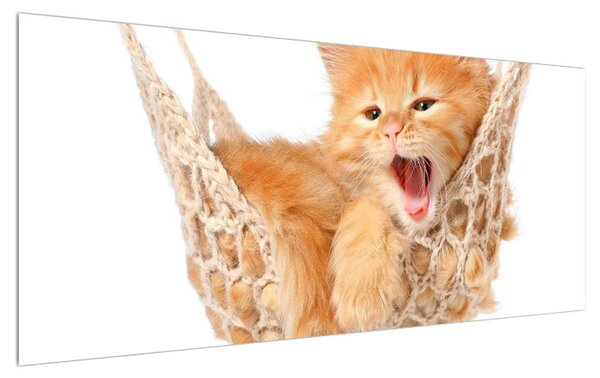 Obraz mačky v sieti (120x50 cm)