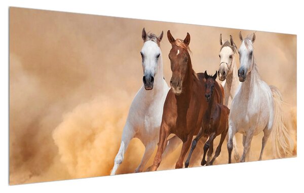 Obraz koní (120x50 cm)
