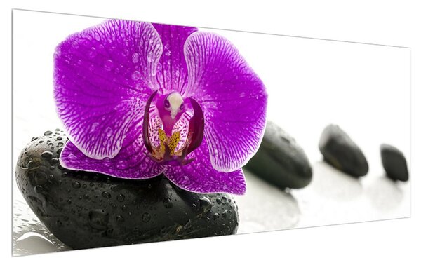 Obraz orchidee (120x50 cm)
