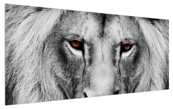 Čiernobiely obraz leva (120x50 cm)