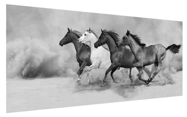 Čiernobiely obraz koní (120x50 cm)