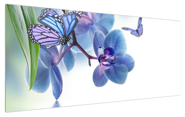 Obraz motýľa na kvetoch orchidee (120x50 cm)
