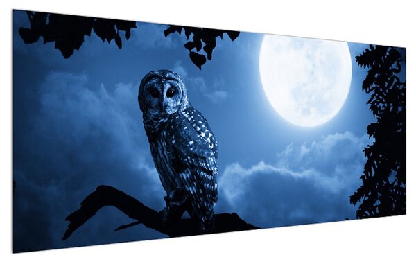 Obraz nočnej sovy (120x50 cm)