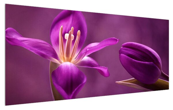 Obraz fialového kvetu (120x50 cm)