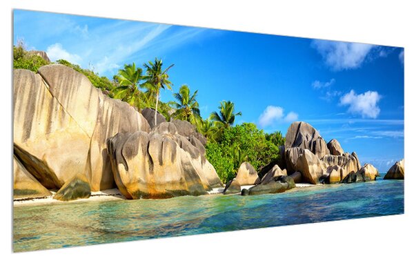 Obraz morskej pláže s palmami (120x50 cm)