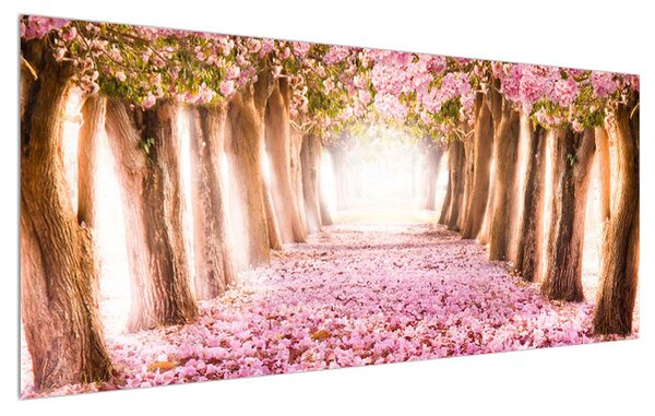 Obraz kvetinového chodníka (120x50 cm)