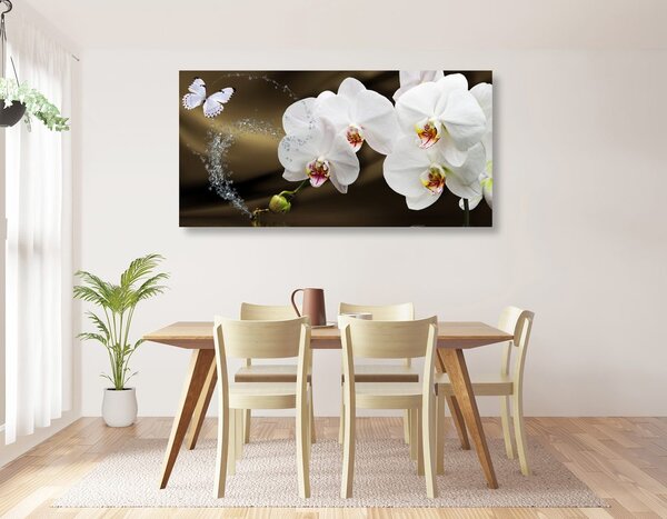 Obraz orchidea a motýľ