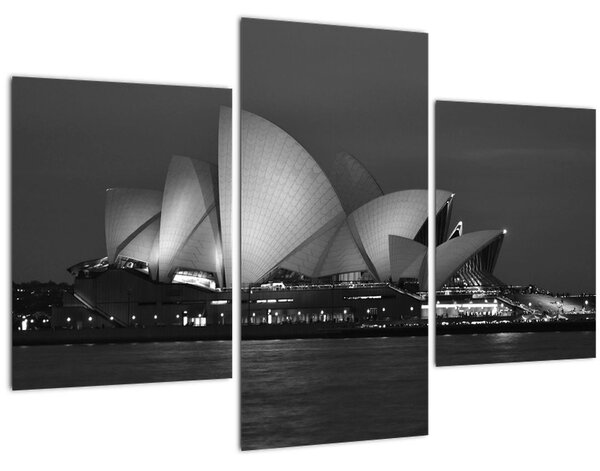 Obraz Opery v Sydney (90x60 cm)