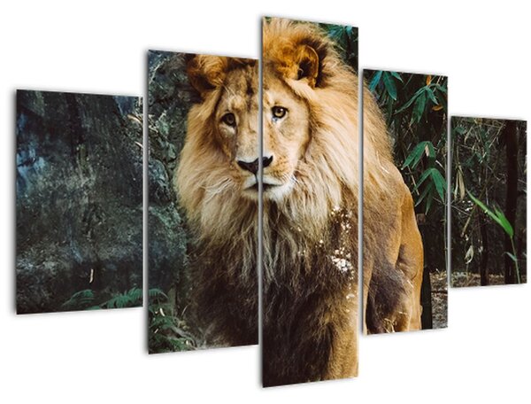 Obraz leva v prírode (150x105 cm)