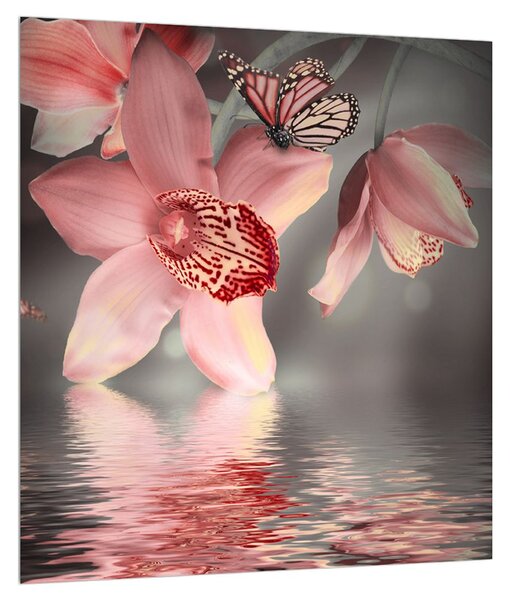 Obraz kvetov a motýľa (30x30 cm)
