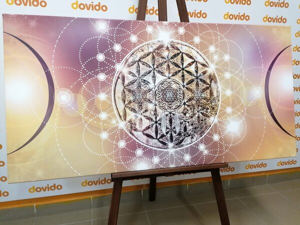 Obraz očarujúca Mandala