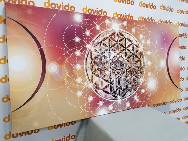 Obraz očarujúca Mandala