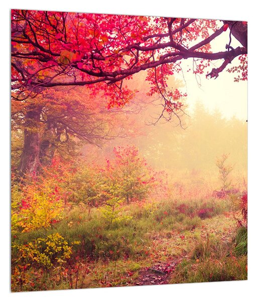 Obraz jesennej lesnej krajiny (30x30 cm)