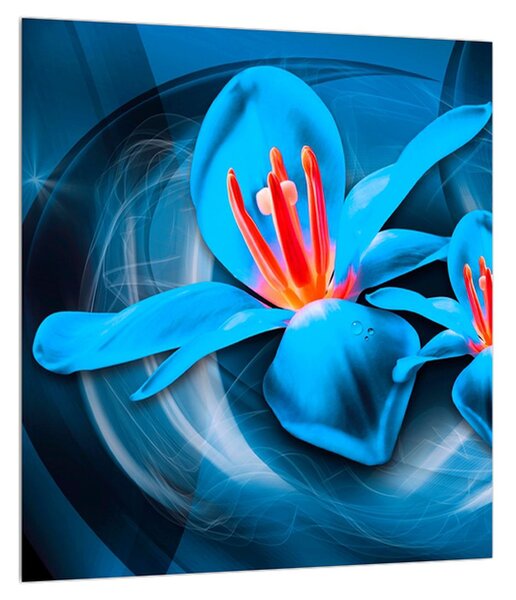 Moderný modrý obraz kvetov (30x30 cm)