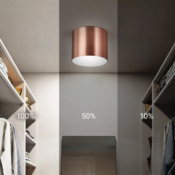 Immax NEO 07319L - LED stmievateľné stropné svietidlo RONDATE 18W/230V 11,5 cm Wi-Fi Tuya ružové