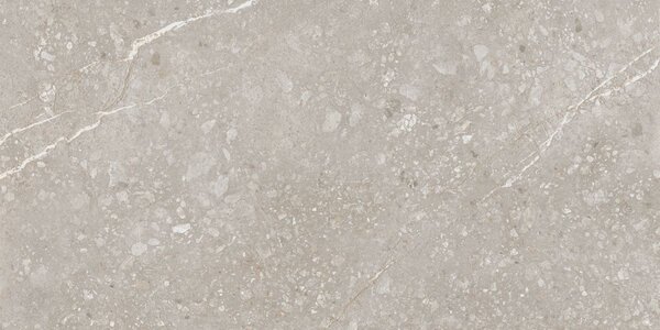 Volcano Grigio Rectificado 60x120