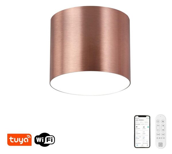 Immax NEO 07319L - LED stmievateľné stropné svietidlo RONDATE 18W/230V 11,5 cm Wi-Fi Tuya ružové