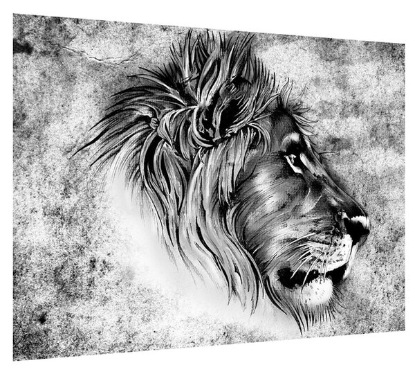 Čiernobiely obraz leva (70x50 cm)