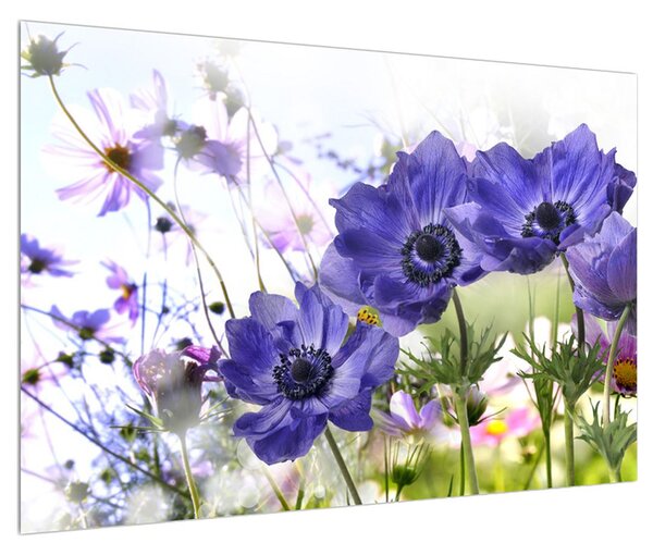 Obraz kvetov (90x60 cm)