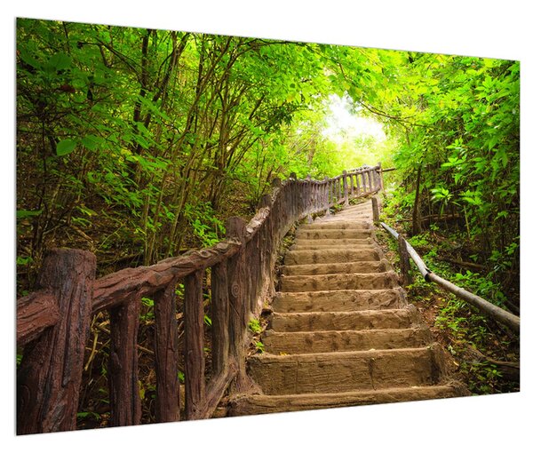 Letný obraz schodov v prírode (90x60 cm)